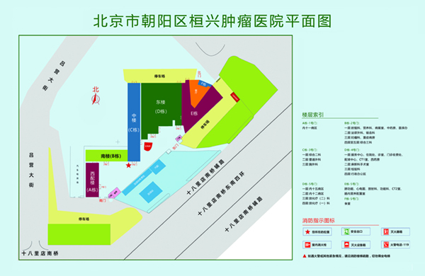 大鸡吧插逼里的视频北京市朝阳区桓兴肿瘤医院平面图